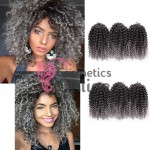 Codite de par Afro Marley de 20 cm 004 Ombre Crochet Braids Brunet-Gray Ombre Codite de par Afro Marley de 20 cm 004 Ombre Crochet Braids Brunet-Gray Ombre